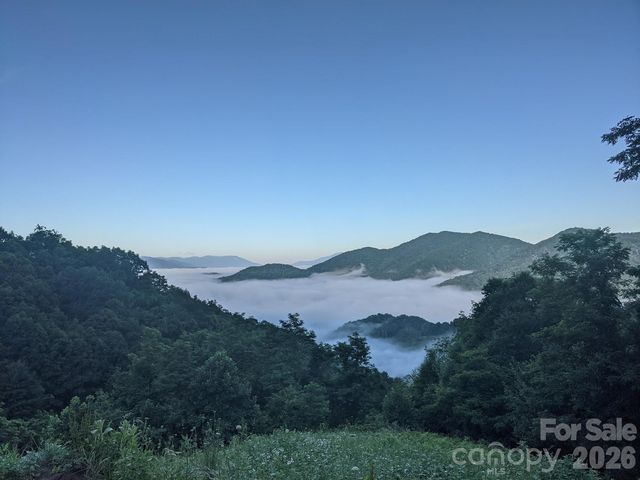 1877 Wilson Cove Road, Canton, NC 28716