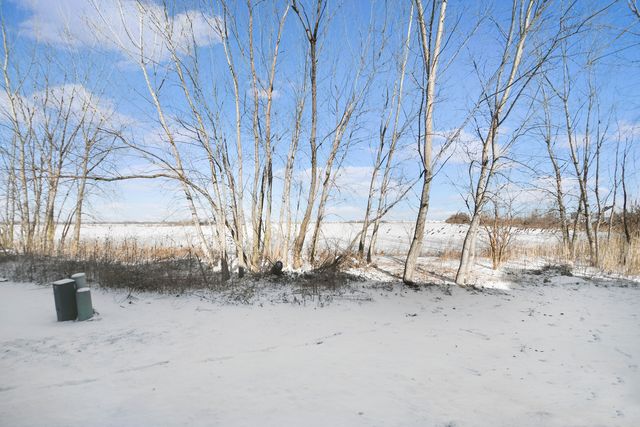 8513 Sawyer Court, Joliet, IL 60431