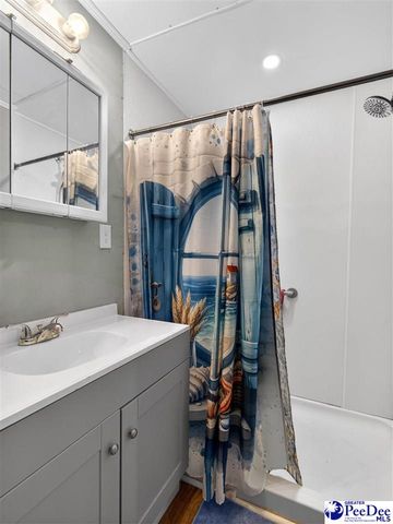 224 Godfrey Street, Cheraw, SC 29520