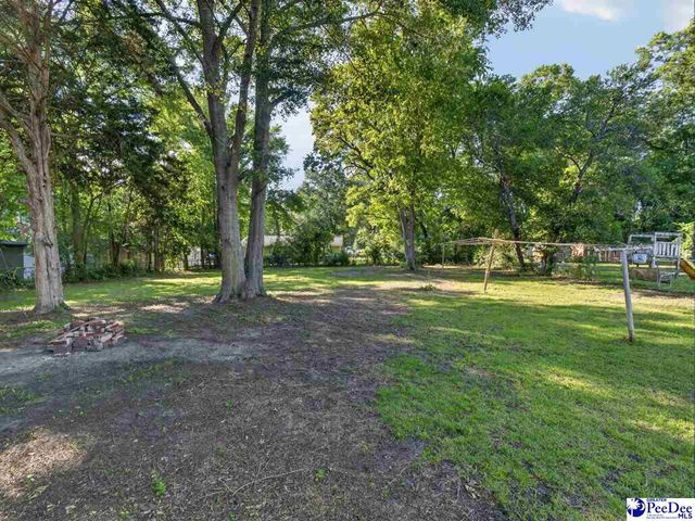 224 Godfrey Street, Cheraw, SC 29520