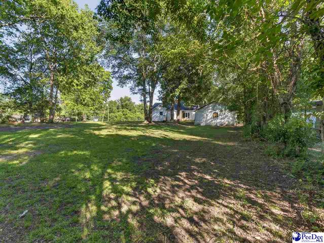 224 Godfrey Street, Cheraw, SC 29520