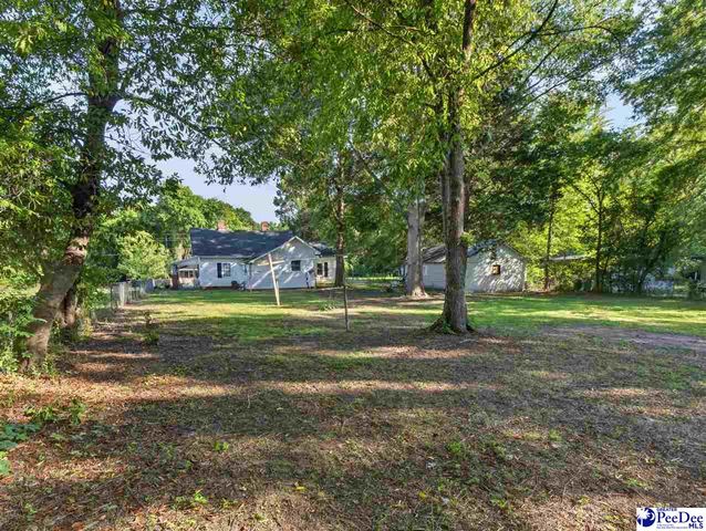 224 Godfrey Street, Cheraw, SC 29520