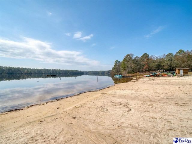 224 Godfrey Street, Cheraw, SC 29520