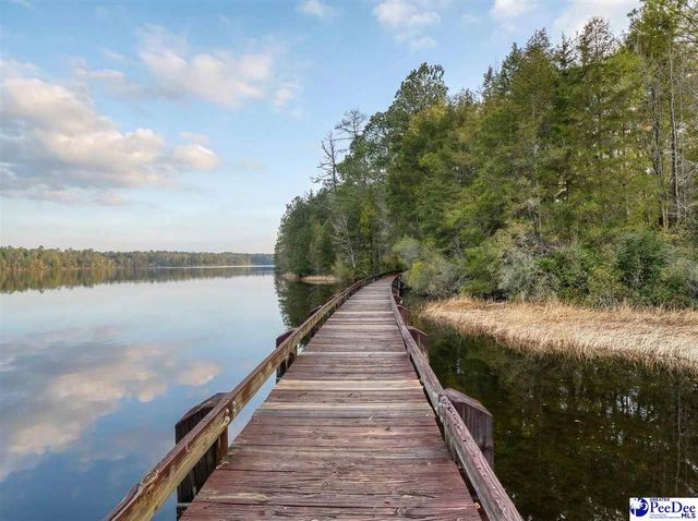 224 Godfrey Street, Cheraw, SC 29520