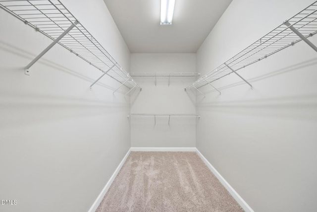 717 Magnolia Forest Court, Wake Forest, NC 27587