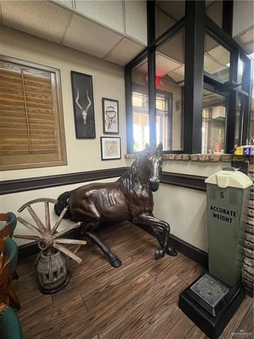 2620 W Freddy Gonzalez Drive, Edinburg, TX 78539