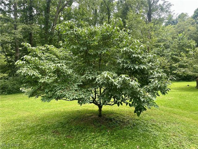 325 N Fork Road, New Matamoras, OH 45767