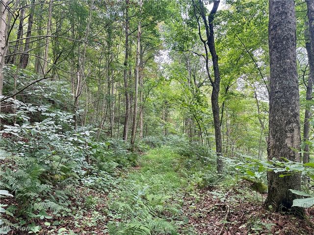 325 N Fork Road, New Matamoras, OH 45767