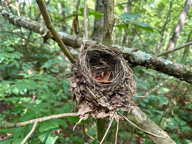 325 N Fork Road, New Matamoras, OH 45767