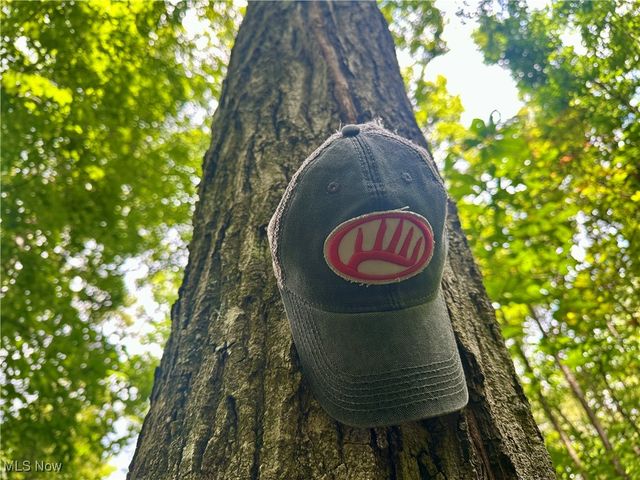 325 N Fork Road, New Matamoras, OH 45767