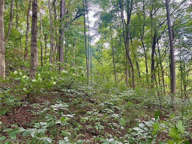 325 N Fork Road, New Matamoras, OH 45767