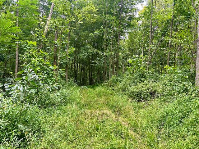 325 N Fork Road, New Matamoras, OH 45767