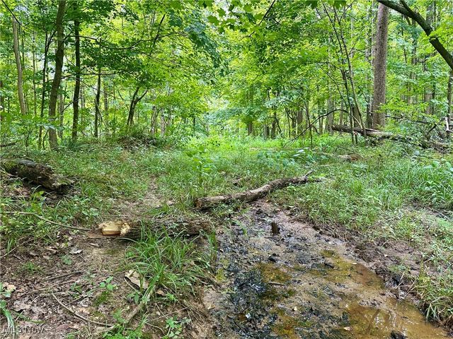 325 N Fork Road, New Matamoras, OH 45767