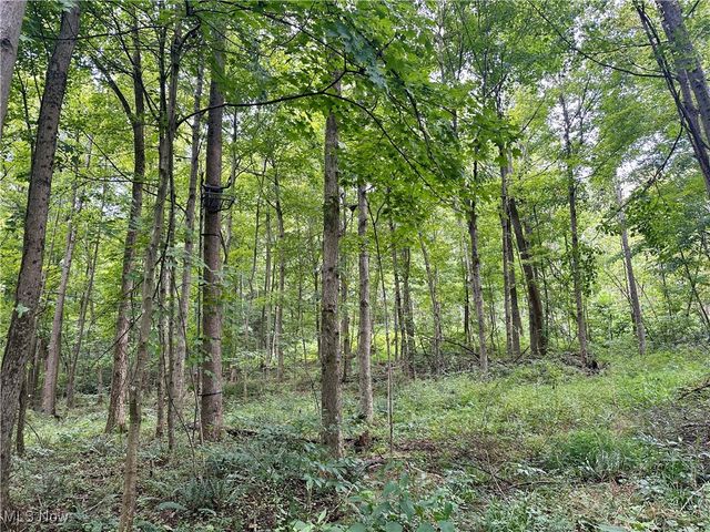 325 N Fork Road, New Matamoras, OH 45767