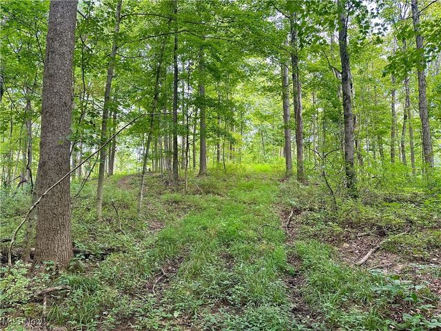 325 N Fork Road, New Matamoras, OH 45767