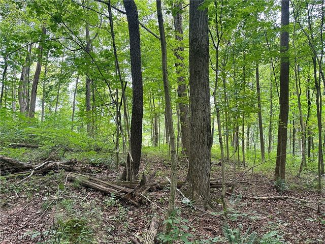 325 N Fork Road, New Matamoras, OH 45767