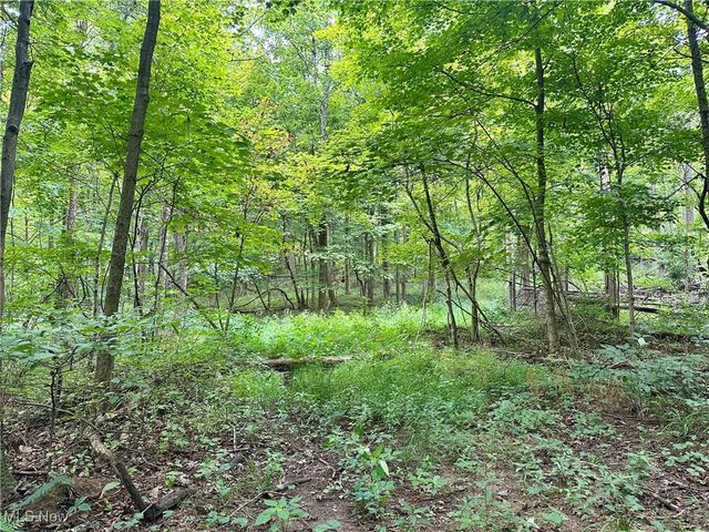 325 N Fork Road, New Matamoras, OH 45767