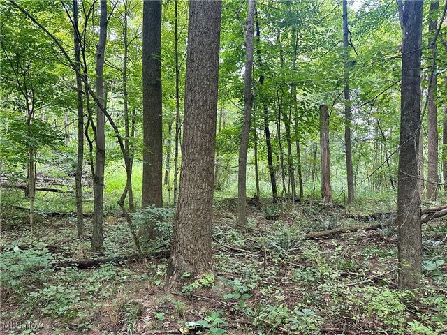 325 N Fork Road, New Matamoras, OH 45767