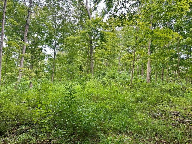 325 N Fork Road, New Matamoras, OH 45767