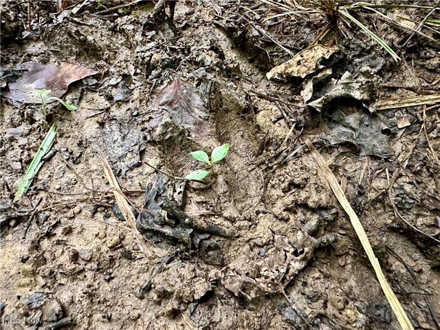 325 N Fork Road, New Matamoras, OH 45767