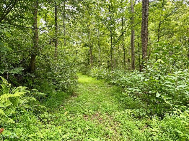 325 N Fork Road, New Matamoras, OH 45767