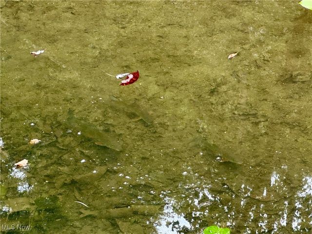 325 N Fork Road, New Matamoras, OH 45767