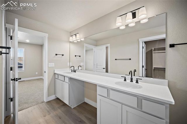 7716 Clear Amber Place, Colorado Springs, CO 80908