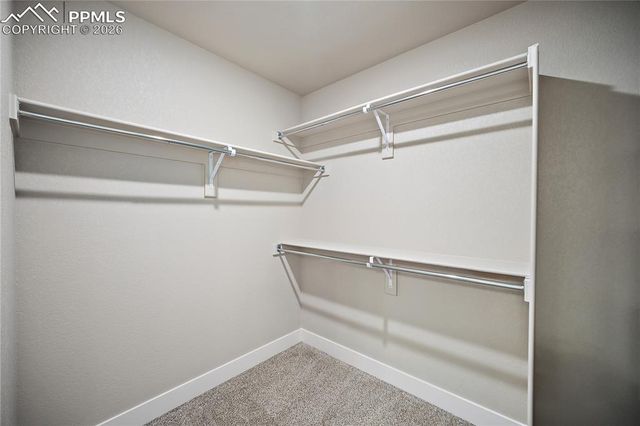 7716 Clear Amber Place, Colorado Springs, CO 80908