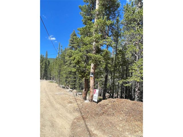 0 Silver Creek Rd, Idaho Springs, CO 80452