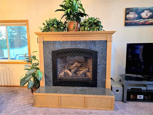 277 Cherokee Dr, Florissant, CO 80816