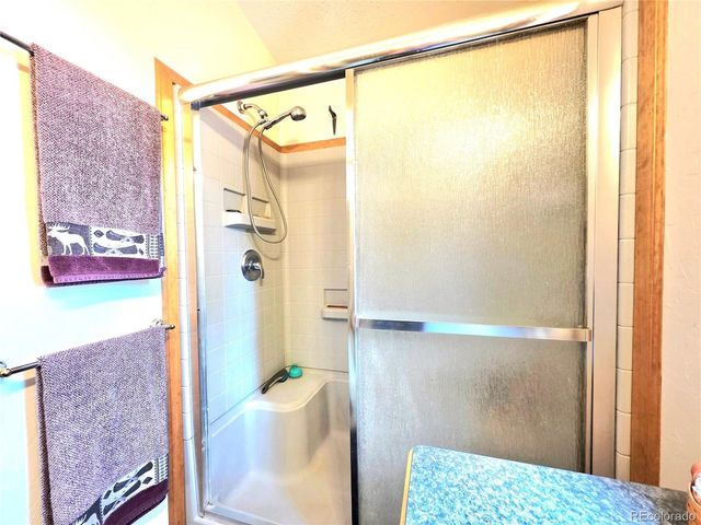 277 Cherokee Dr, Florissant, CO 80816