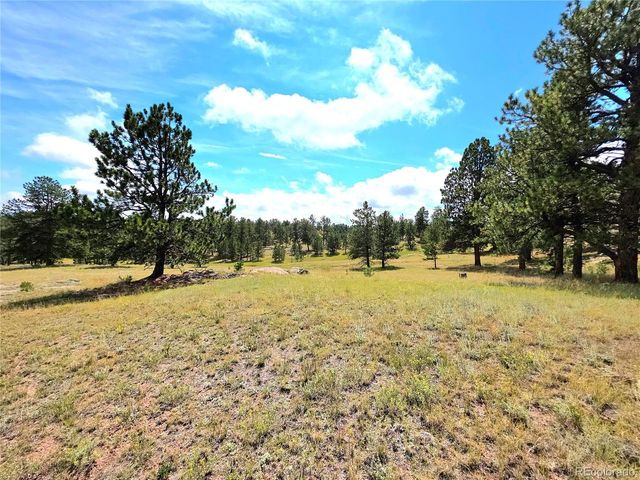277 Cherokee Dr, Florissant, CO 80816