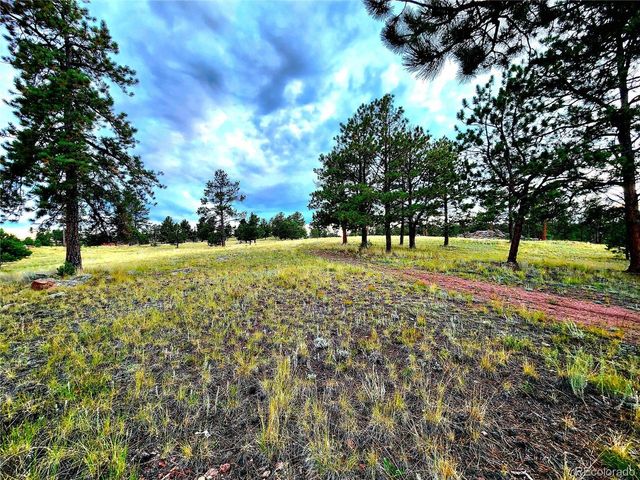 277 Cherokee Dr, Florissant, CO 80816