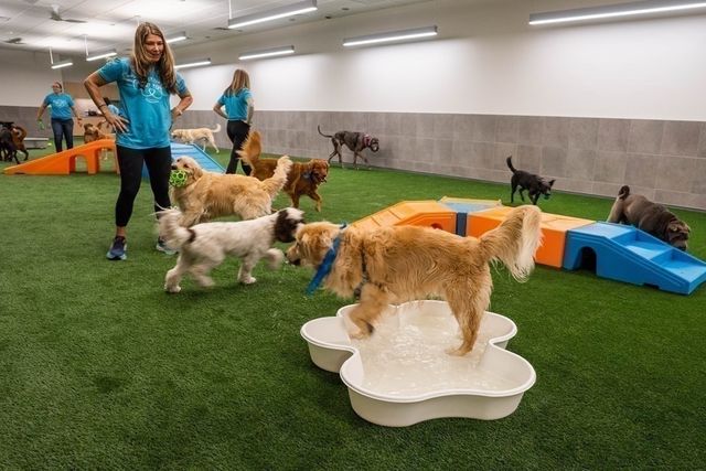 240 Devonshire Street 5408, Boston, MA 02110