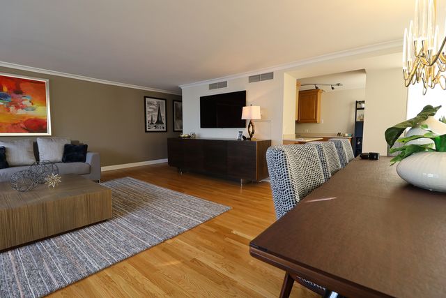 360 E Randolph Street 2205, Chicago, IL 60601