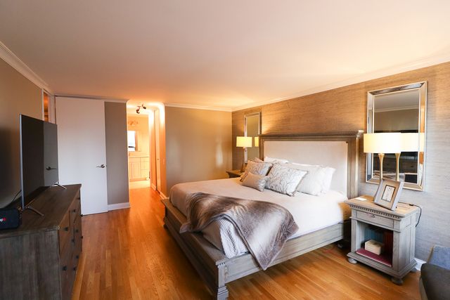 360 E Randolph Street 2205, Chicago, IL 60601