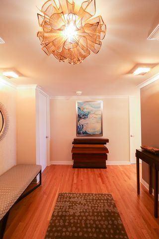 360 E Randolph Street 2205, Chicago, IL 60601