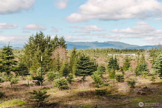 8985 SW Lake Flora Road, Port Orchard, WA 98367