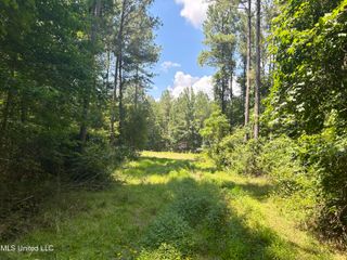 George Warren Road, Brandon, MS 39042