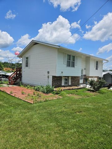 1006 E 5th Street, Mountain View, MO 65548