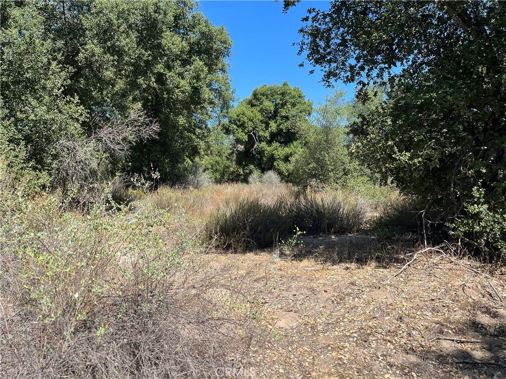 Image 1 of property listing at 35010 Willow Creek Rd., Hemet, CA 92544