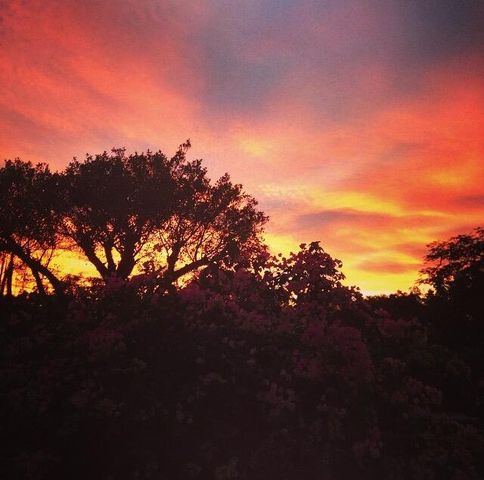 250 NE 13th Street, Delray Beach, FL 33444