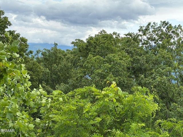 1226 Sky High Way # 6, Gatlinburg, TN 37738