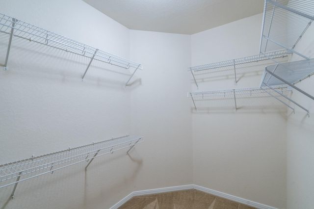 8722 Iris Arbor Lane, Houston, TX 77095