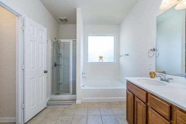 8722 Iris Arbor Lane, Houston, TX 77095