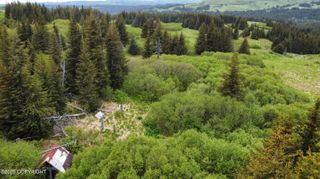 40170 Talley Street, Homer, AK 99603