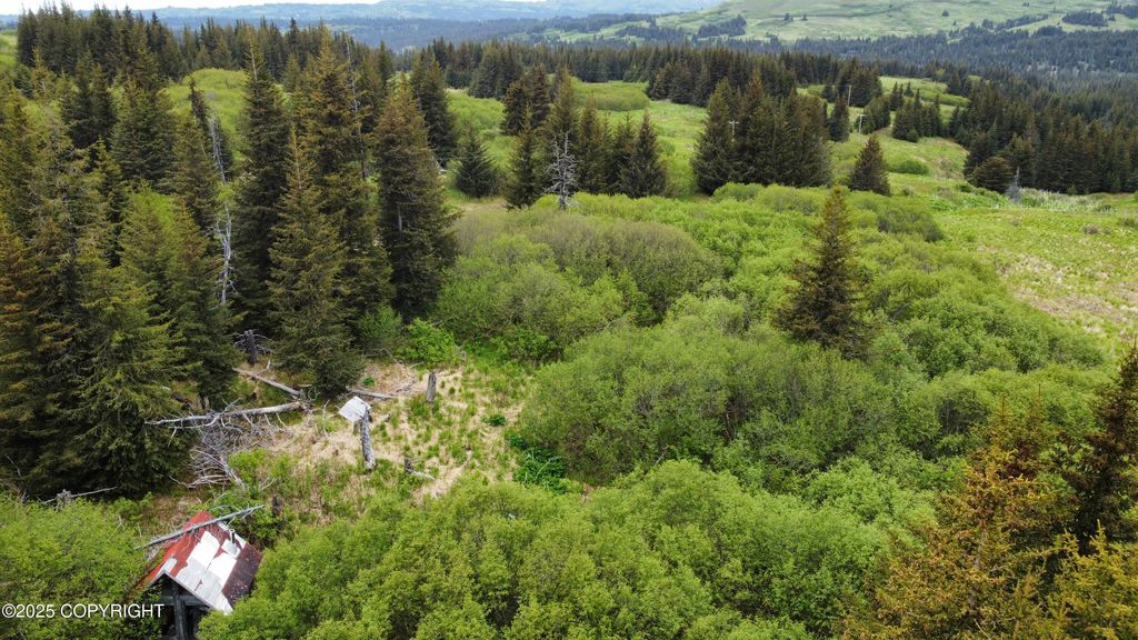 40170 Talley Street, Homer, AK 99603