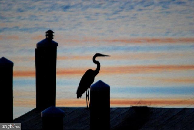 1252 OLD MADISON RD, Madison, MD 21648