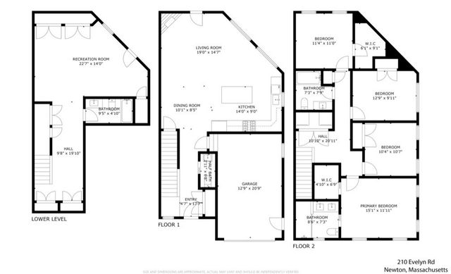 210 Evelyn 210, Newton, MA 02468