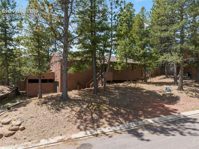 1257 W Midland Avenue, Woodland Park, CO 80863